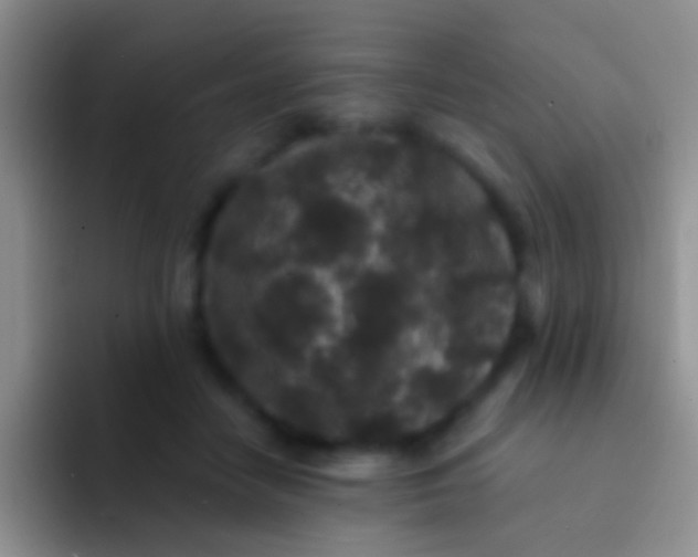 X0000092080458200709262107