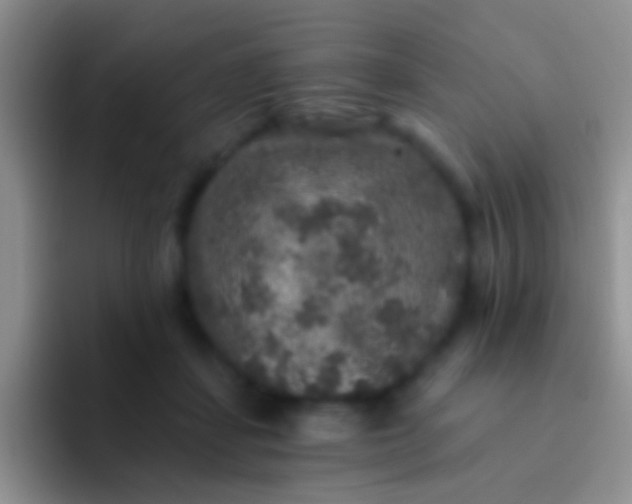 X0000092080459200709262107