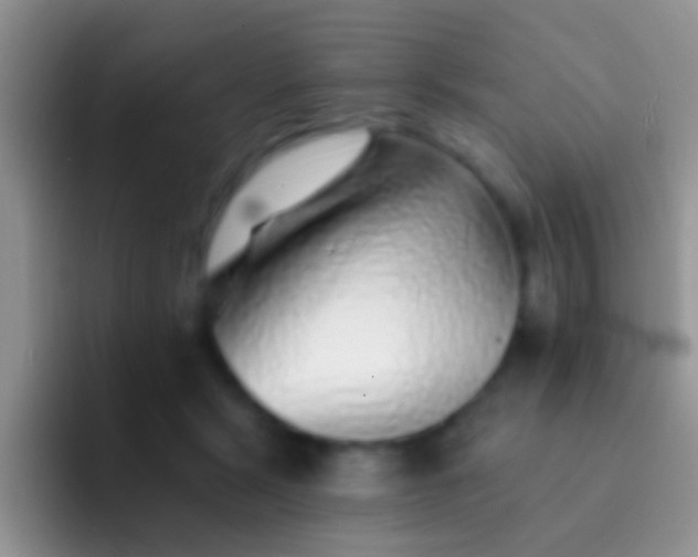 X0000092080461200709262107