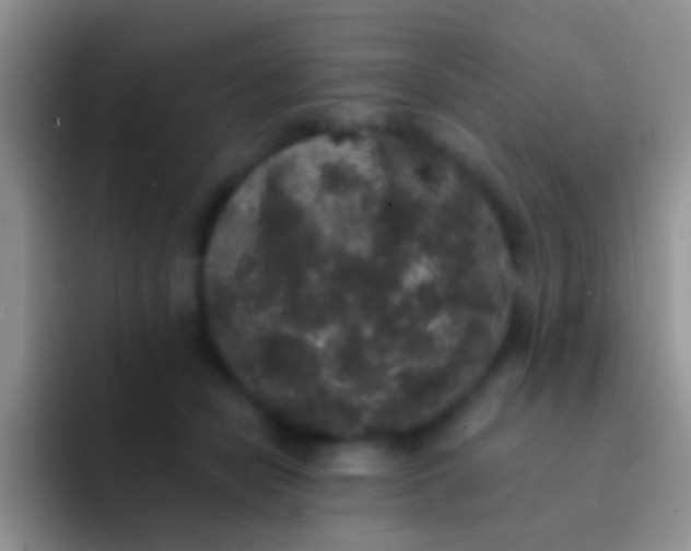 X0000092080462200709262107