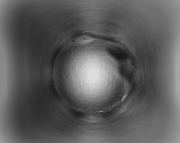 X0000092080466200709262107