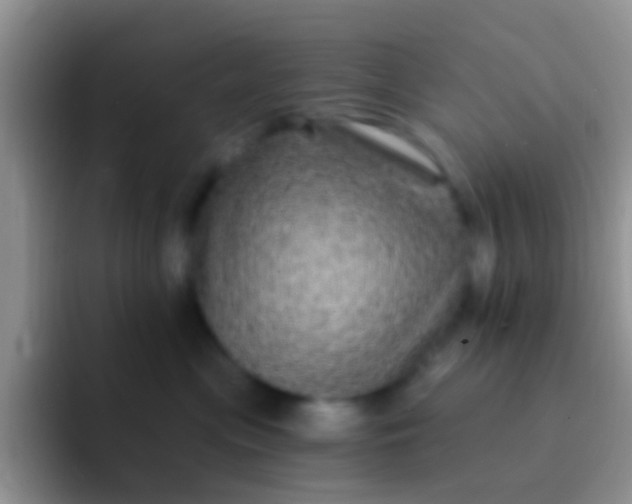 X0000092080477200709262107