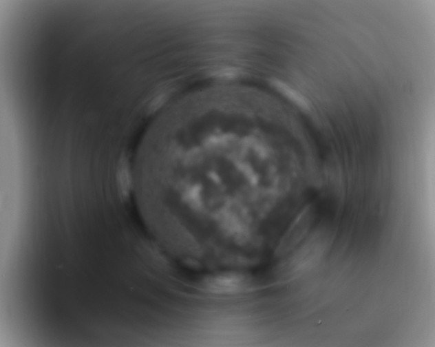 X0000092080479200709262108