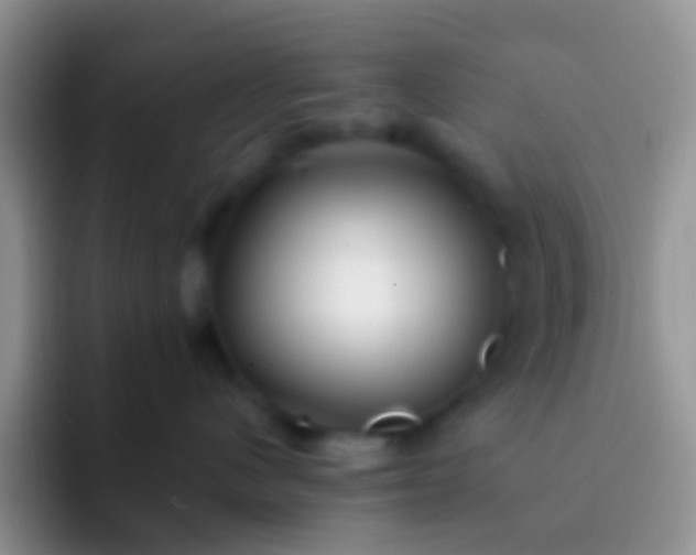 X0000092080480200709262108