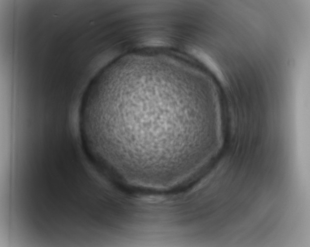 X0000092080482200709262107