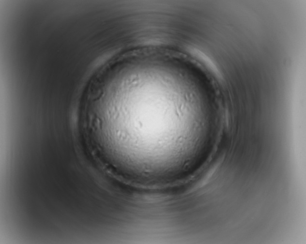 X0000092080483200709262107