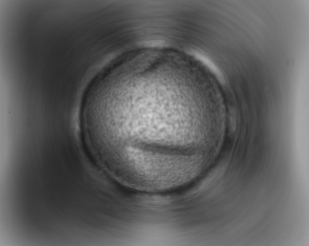 X0000092080486200709262107