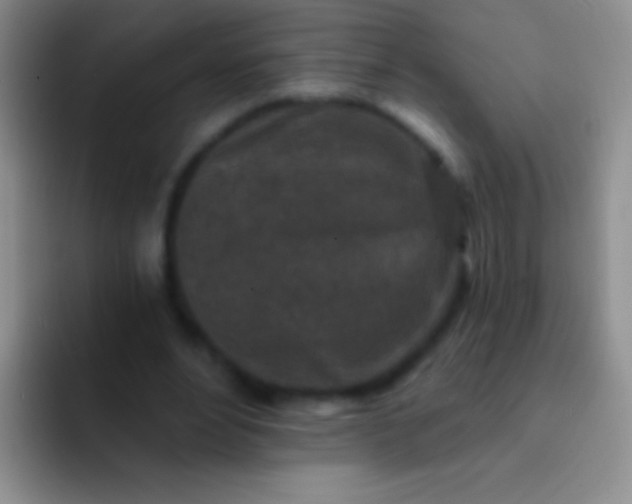 X0000092080488200709262107