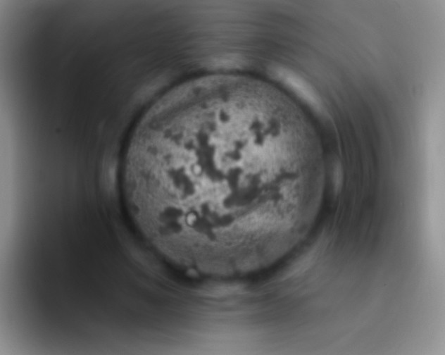 X0000092080491200709262107