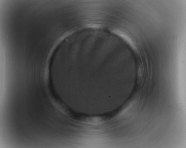 X0000092080492200709262107