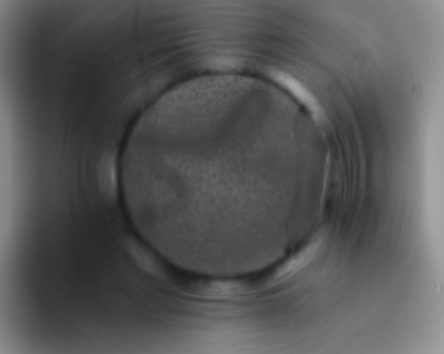 X0000092080493200709262107