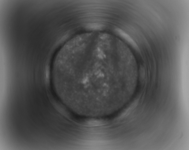 X0000092080494200709262107