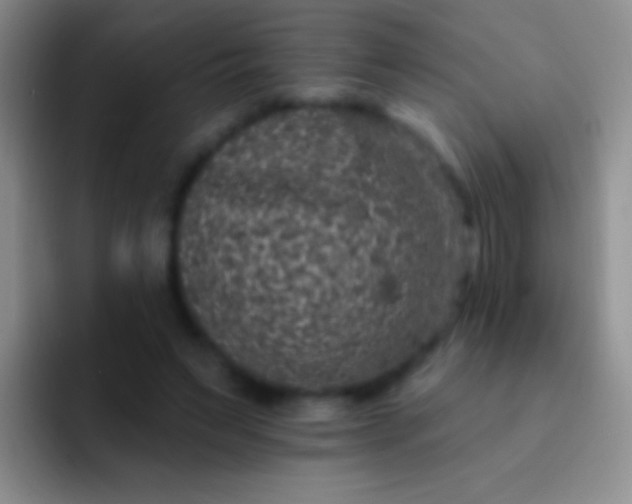 X0000092080495200709262107