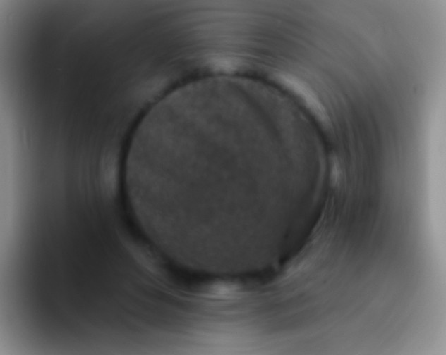 X0000092080496200709262107