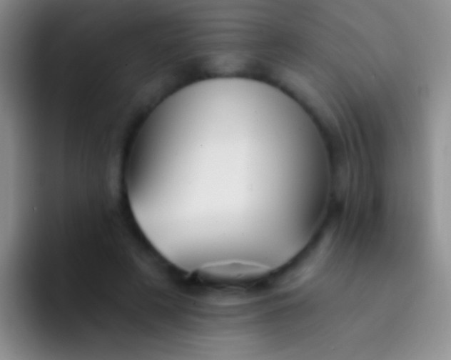 X0000092080497200709262107