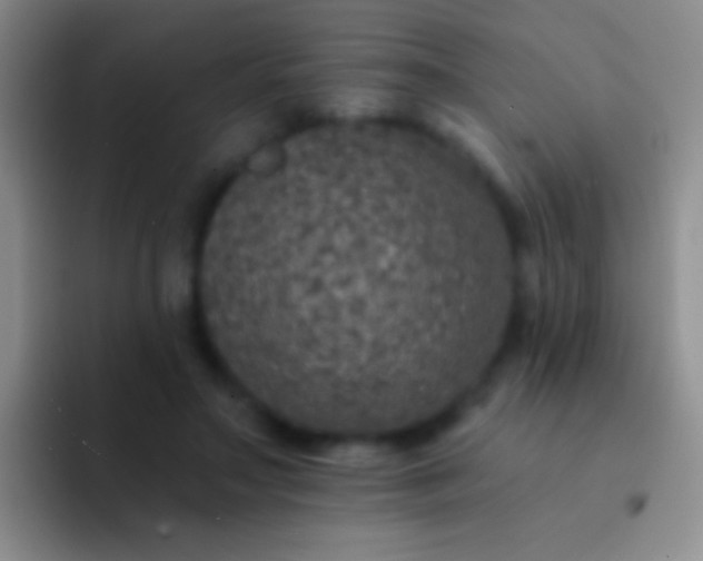 X0000092080499200709262107