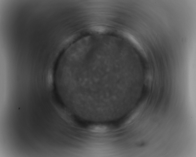 X0000092080500200709262107