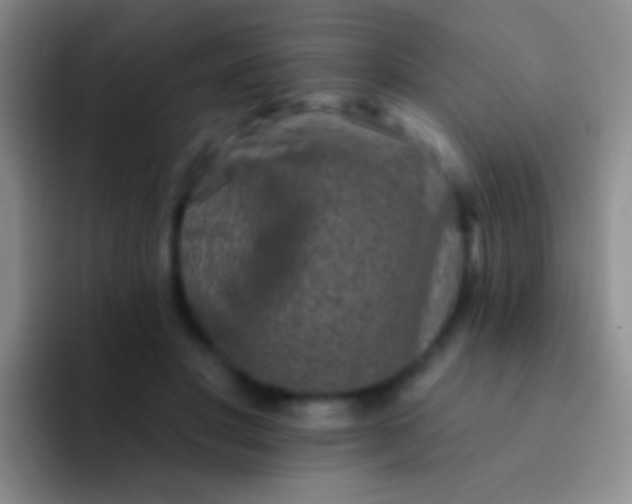 X0000092080501200709262107