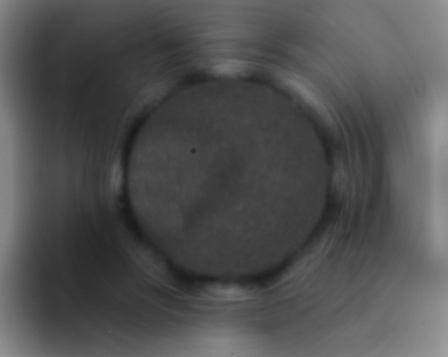 X0000092080502200709262107