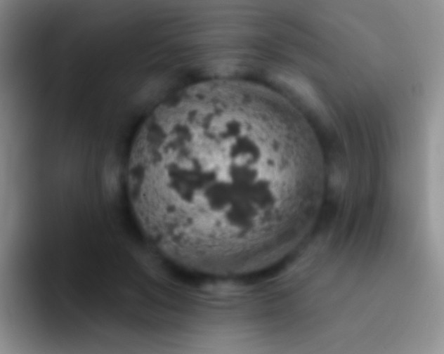 X0000092080503200709262107