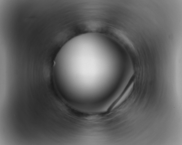 X0000092080505200709262107