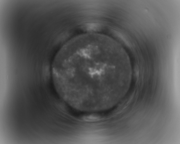 X0000092080506200709262107