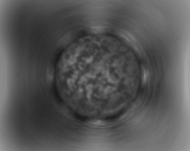 X0000092080507200709262107