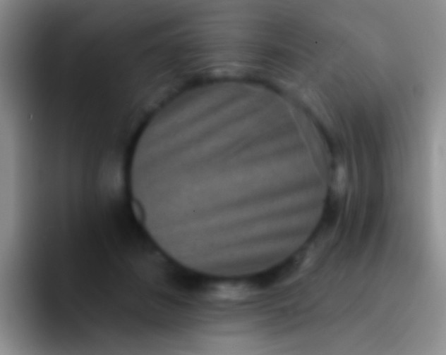 X0000092080508200709262107