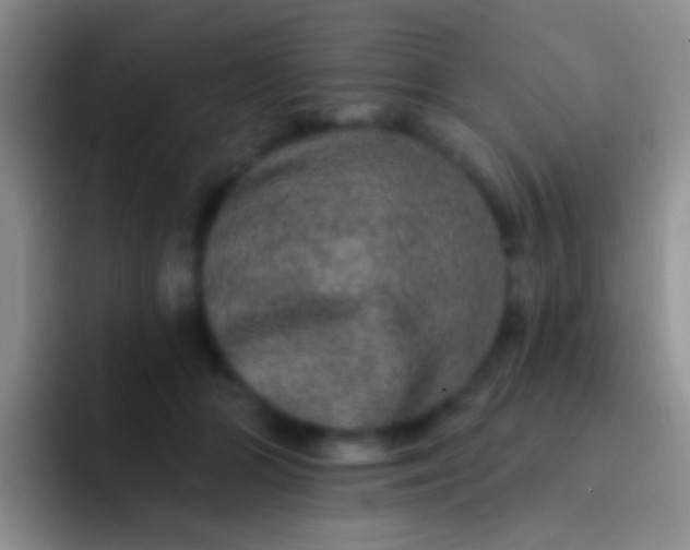 X0000092080510200709262107