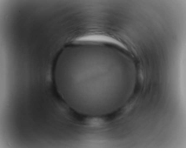 X0000092080512200709262107