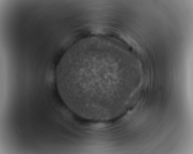 X0000092080513200709262107