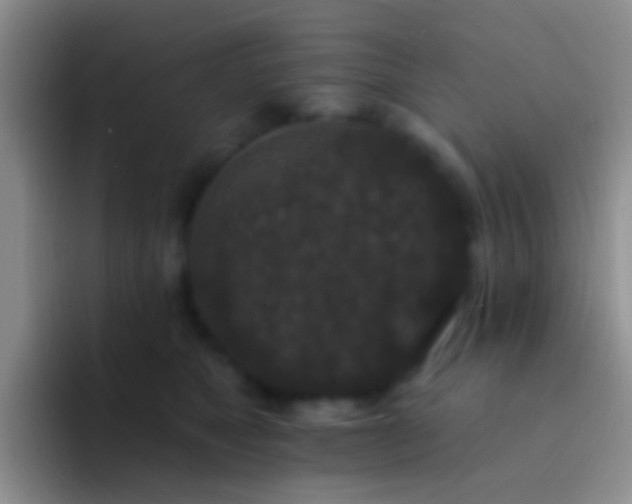 X0000092080517200709262107