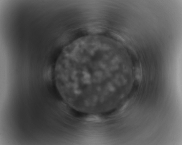 X0000092080519200709262107