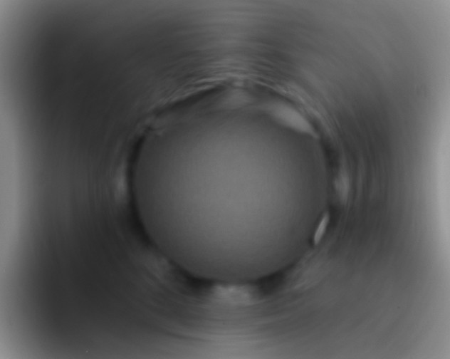 X0000092080520200709262107