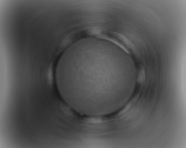 X0000092080524200709262106