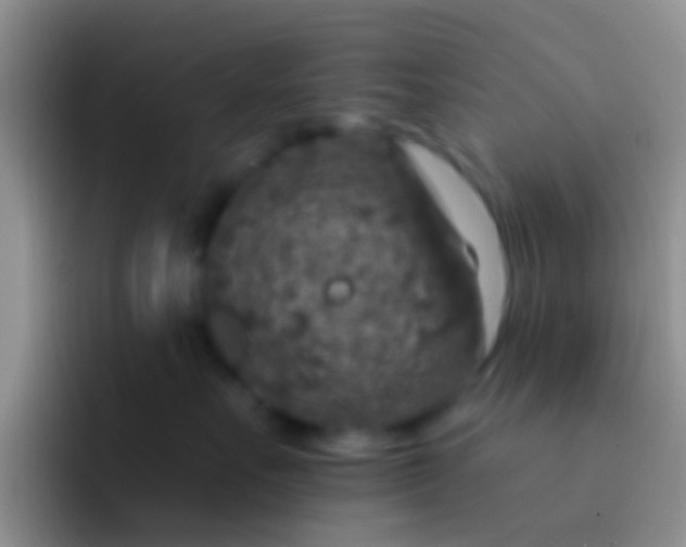 X0000092080527200709262106