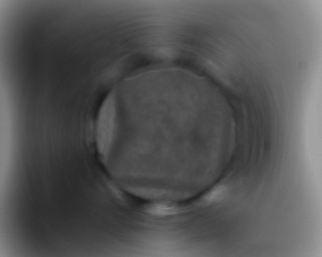 X0000092080528200709262106