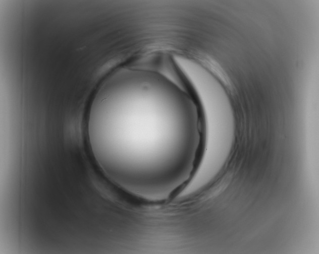 X0000092080530200709262106