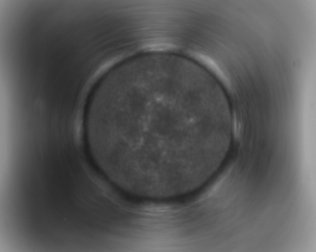 X0000092080531200709262106