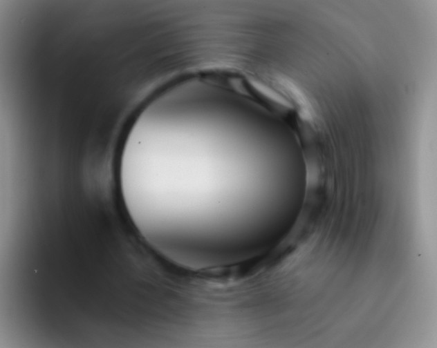 X0000092080532200709262106