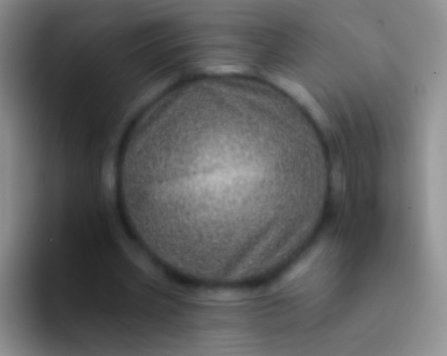 X0000092080533200709262106