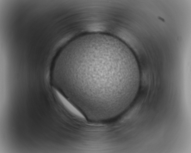 X0000092080535200709262106