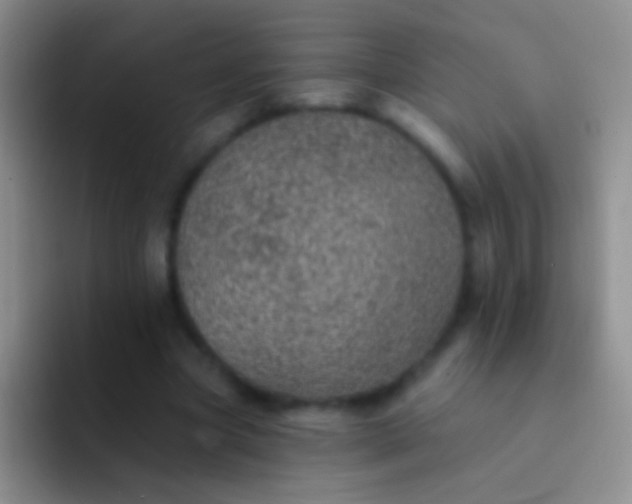 X0000092080537200709262106