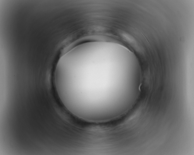 X0000092080538200709262106