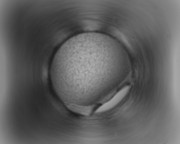 X0000092080539200709262106