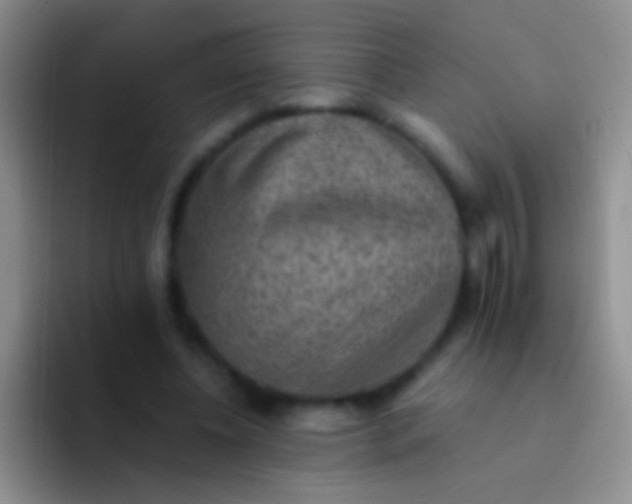 X0000092080540200709262106