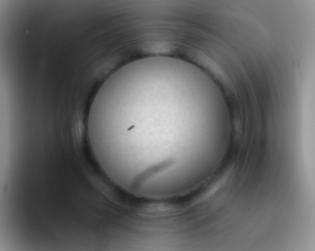 X0000092080541200709262106