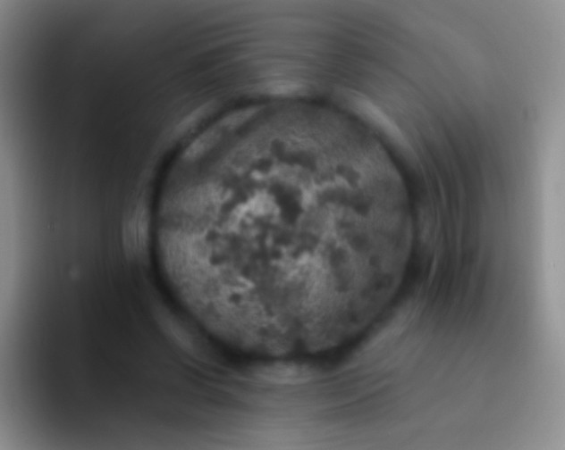 X0000092080542200709262106