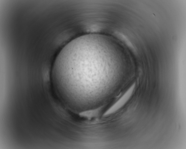 X0000092080543200709262106