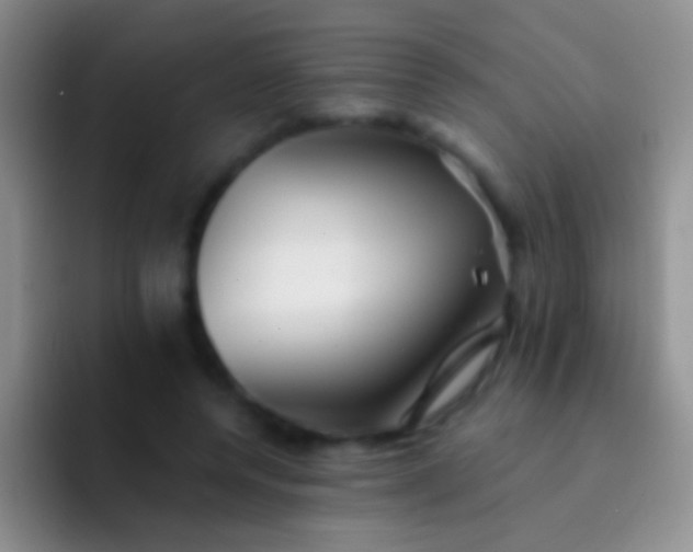 X0000092080544200709262106